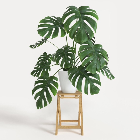 Poshmark profile picture for @contradict